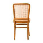 Teak Wood and Rattan Dining Chair TIF-DCI 02 - Image 4
